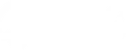 Q & A